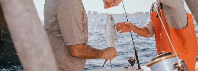 edc collection fishing Mogulgus